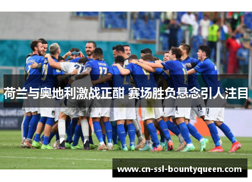 荷兰与奥地利激战正酣 赛场胜负悬念引人注目