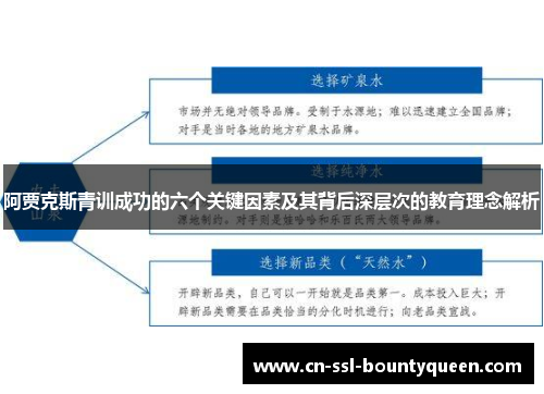 阿贾克斯青训成功的六个关键因素及其背后深层次的教育理念解析
