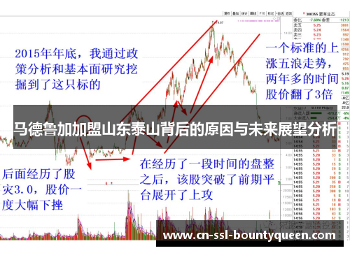 马德鲁加加盟山东泰山背后的原因与未来展望分析