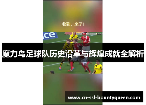 魔力鸟足球队历史沿革与辉煌成就全解析